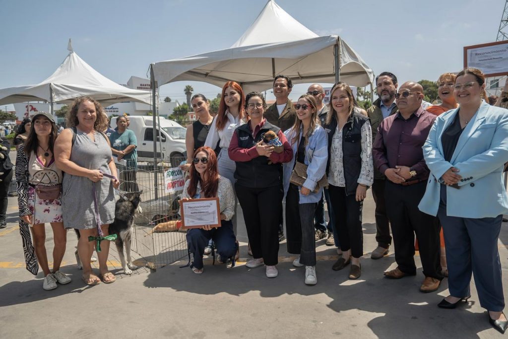 IMPULSAN ADOPCIÓN Y VACUNACIÓN CON LA FERIA DEL BIENESTAR ANIMAL.
