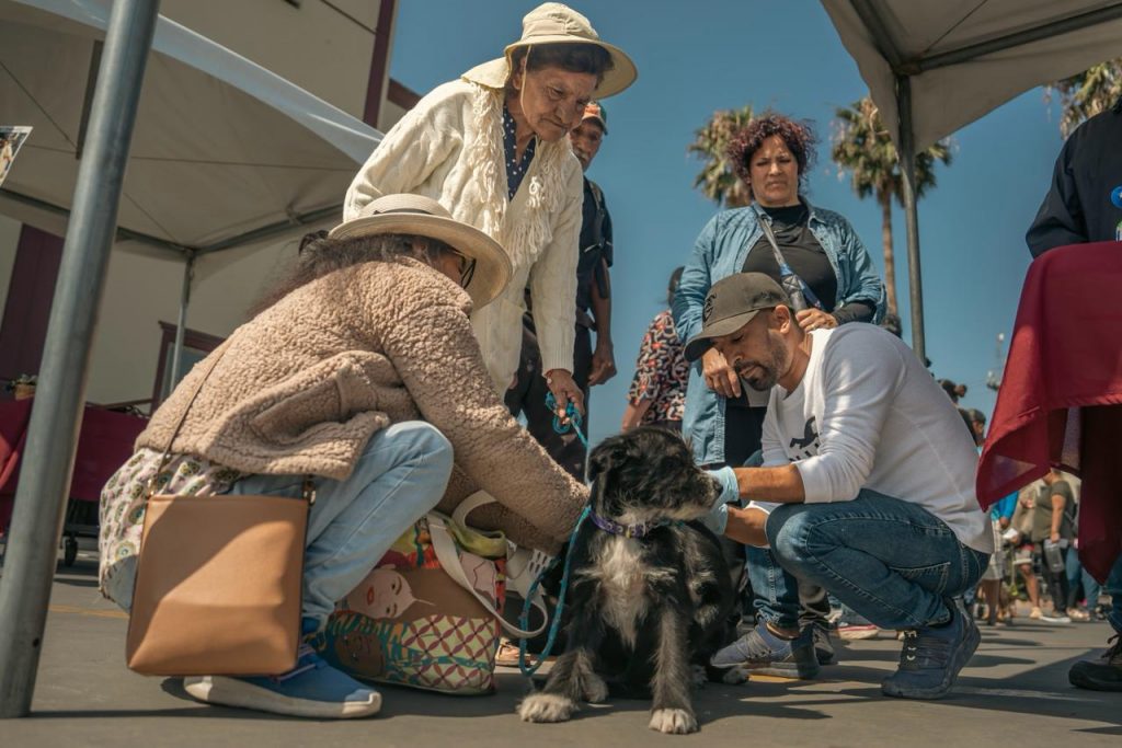 IMPULSAN ADOPCIÓN Y VACUNACIÓN CON LA FERIA DEL BIENESTAR ANIMAL.