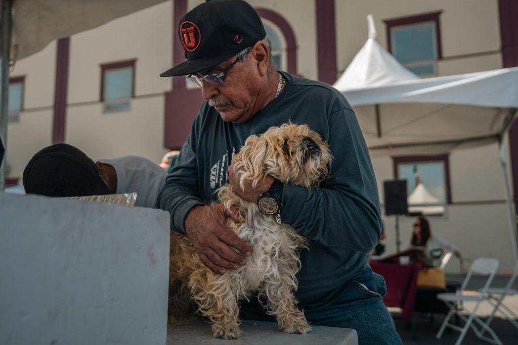 BUSCAN IMPULSAR CAMPAÑAS A FAVOR DEL BIENESTAR ANIMAL
