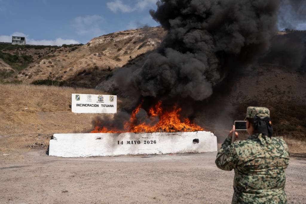 FGR DESTRUYE MÁS DE SIETE TONELADAS DE DROGA ASEGURADA.
