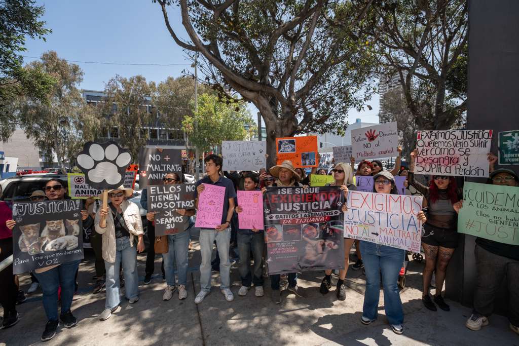 Animalistas exigen justicia.