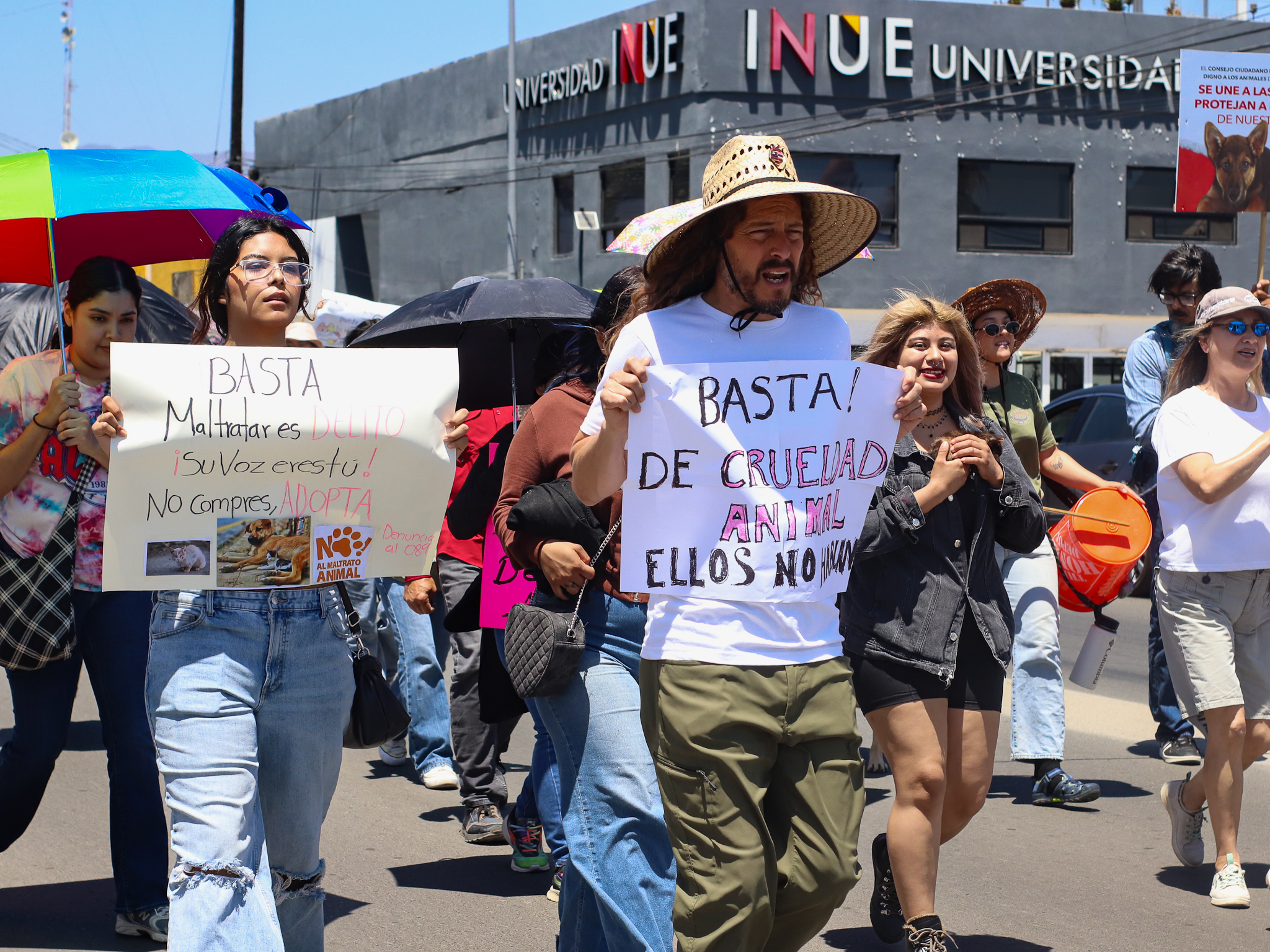 ENSENADA MARCHA CONTRA EL MALTRATO ANIMAL Y ANUNCIA NUEVA FUNDACIÓN