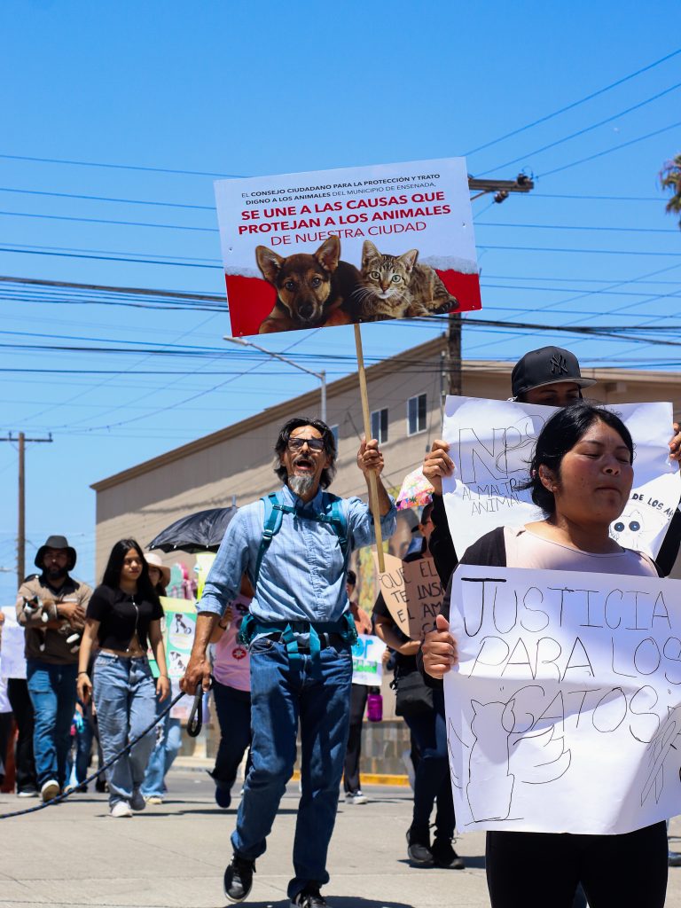 Ciudadanos manifestándose contra el maltrato animal por las calles de Ensenada. 
