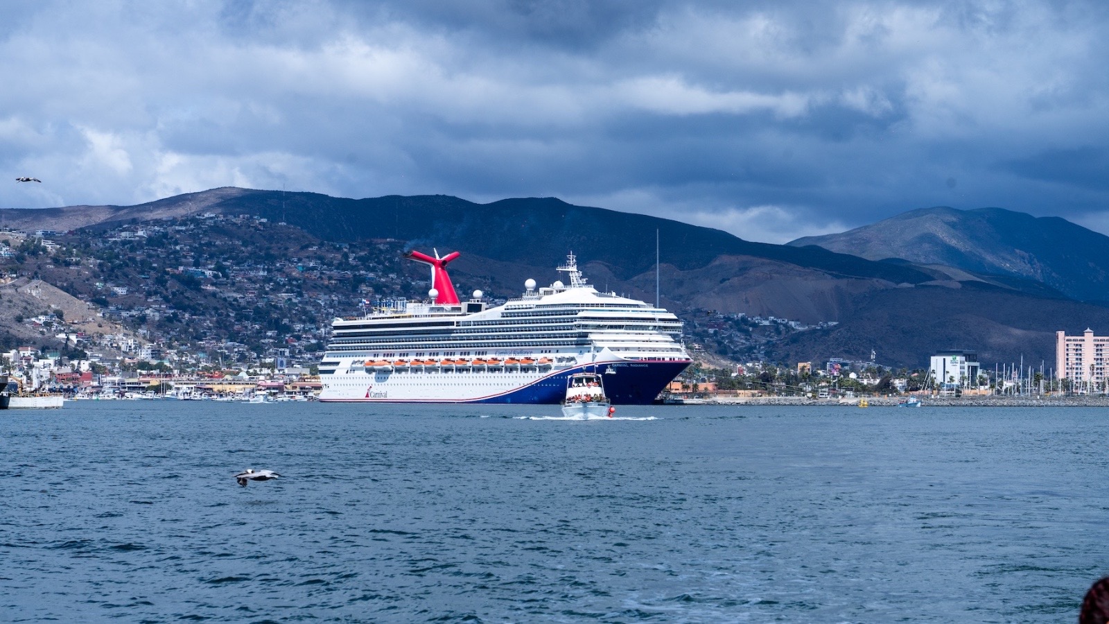 AUMENTA ARRIBO DE CRUCEROS Y PASAJEROS EN ENSENADA DURANTE 2026
