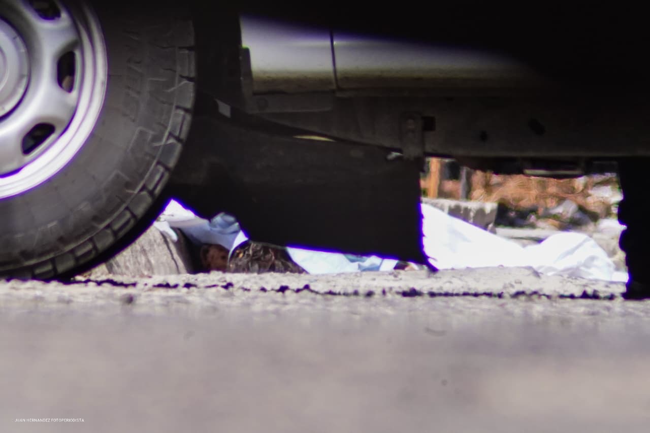 INVESTIGAN SI MUERTE DE MUJER FUE POR ATAQUE DE PERROS O HOMICIDIO EN MEXICALI