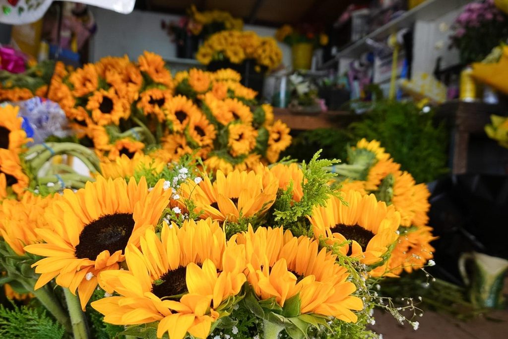 FLORES AMARILLAS AUMENTAN LAS VENTAS EN FLORERÍAS DE TIJUANA